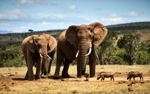     1755714 (a):_ :1920x1200