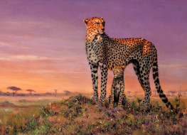     1755757 (a):_ :1920x1388