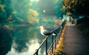 , ,  ,  , , , , , , , 