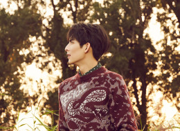     1756099 (a): :2000x1464