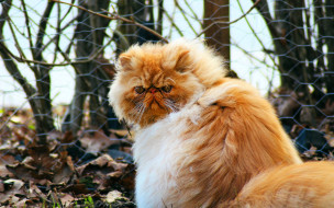     1756684 (a):_ :1920x1200