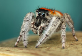 ���� ��� �������� ����� �1757419 �������(a):������ ����������:2048x1398