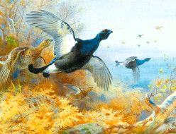 , archibald thorburn, , , , , , , 