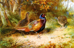 , archibald thorburn, , , , , , 