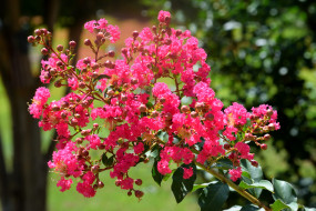 ���� ��� �������� ����� �1759509 �������(a):Barborka ����������:1920x1280