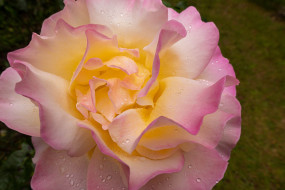 ���� ��� �������� ����� �1759915 �������(a):Barborka ����������:2560x1707