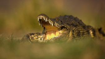 ���� ��� �������� ����� �1760261 �������(a):������ ����������:2048x1152