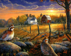 ����������, sam timm, �����, �����, ���, ����, ����, �����