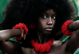 ���� ��� �������� ����� �1761306 �������(a):Flibustier ����������:1920x1317