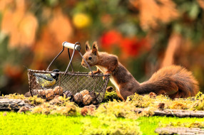 ���� ��� �������� ����� �1761685 �������(a):����_��� ����������:4233x2821