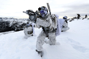 ���� ��� �������� ����� �1761920 �������(a):����_��� ����������:2772x1842