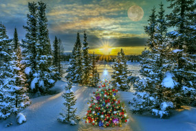 �����������, ����, ����������