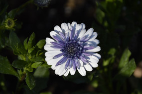 �����, �������������, ������, ������������, �����