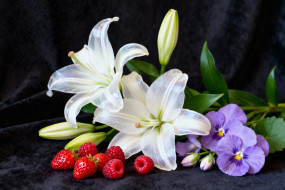 ���, ���������, ������