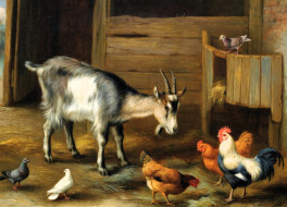 ����������, edgar hunt, ����, ������, ����, �����, ����