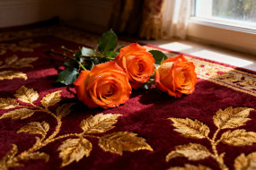 3� �������, ����� , flowers, ����, �����, �����, ����, �����