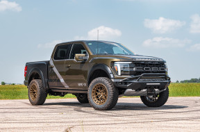 ����������, ford