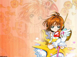 , card, captor, sakura