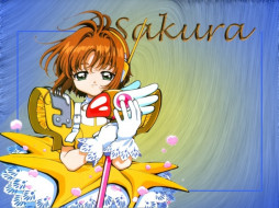      1024x768 , card, captor, sakura