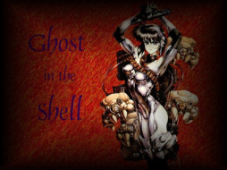 , ghost, in, the, shell