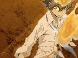 , katekyo, hitman, reborn