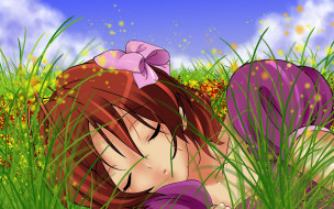 , clannad