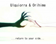 Ulquiorra & Orihime     1280x1024 ulquiorra, orihime, , bleach