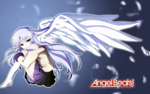      1920x1200 , angel, beats