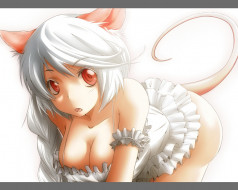     206747 (a):wolfhaund :1280x1024