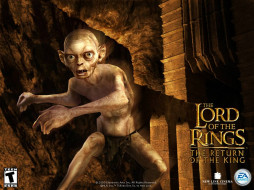 Lord of the Rings: Return of the King     1024x768 lord, of, the, rings, return, king, , 