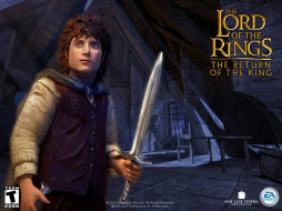 Lord of the Rings: Return of the King     1024x768 lord, of, the, rings, return, king, , 