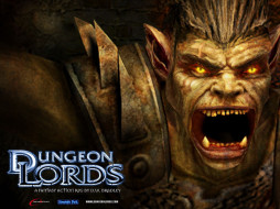 dungeon, lords, , 