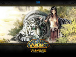 World Of WarCraft     1024x768 world, of, warcraft, , 