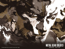 Metal Gear Solid 3     1024x768 metal, gear, solid, , , snake, eater