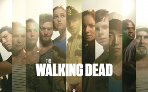 The Walking Dead     2560x1600 the, walking, dead, , , , 