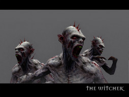 The Witcher ()     1024x768 the, witcher, , , 