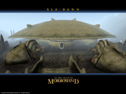 Morrowind     1024x768 morrowind, , 