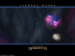 Morrowind     1024x768 morrowind, , 