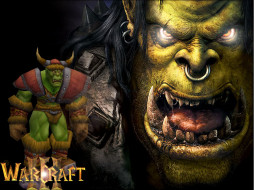 , , warcraft, iii, reign, of, chaos