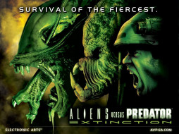 Alien vs Predator     1024x768 alien, vs, predator, , , aliens