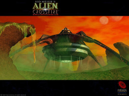 Alien crossfire     1024x768 alien, crossfire, , 