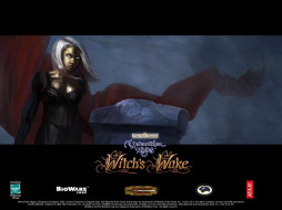 Neverwinter Nights: Witch Wake     1280x960 neverwinter, nights, witch, wake, , 