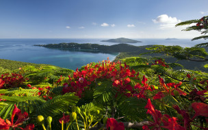 caribbean, islands, , , -, , , , 