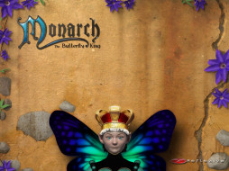 monarch, the, butterfly, king, , 