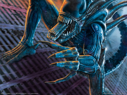      1600x1200 , , aliens, vs, predator