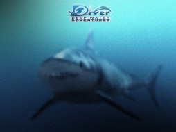 Diver: Deep Water Adventures     1600x1200 diver, deep, water, adventures, , 