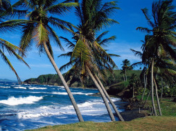 Summer Waves St. Lucia     1024x768 
