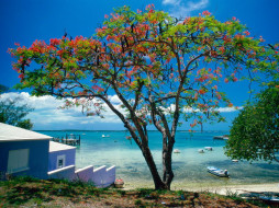 Tropical Escape Bahamas     1024x768 