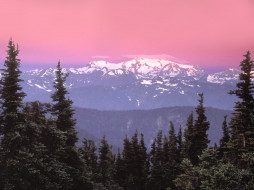 Sunrise Over Mount Olympus Olympic National Park Washington     1600x1200 