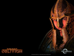 The Elder Scrolls IV: Oblivion     1600x1200 the, elder, scrolls, iv, oblivion, , 